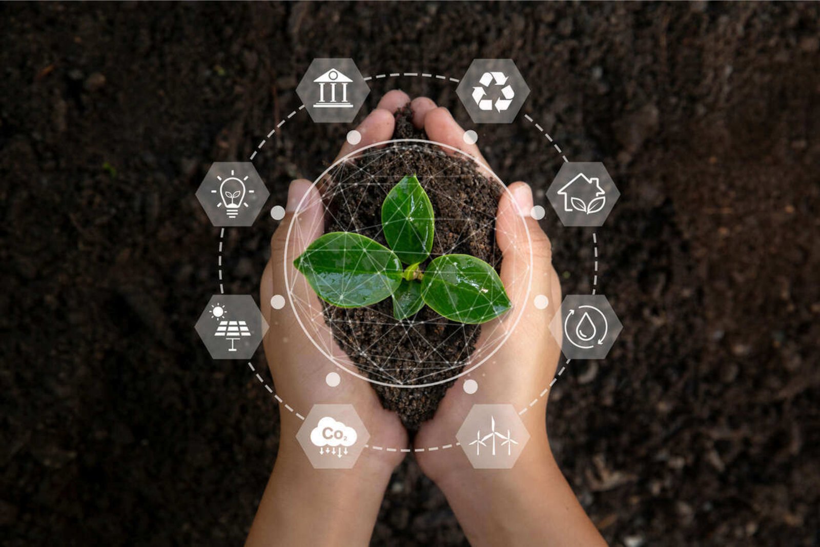 MEIO AMBIENTE E SUSTENTABILIDADE